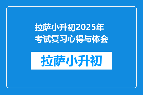 拉萨小升初2025年考试复习心得与体会