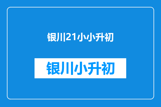 银川21小小升初