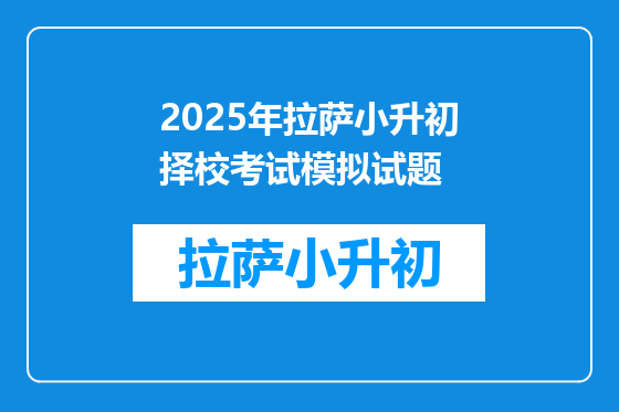2025年拉萨小升初择校考试模拟试题