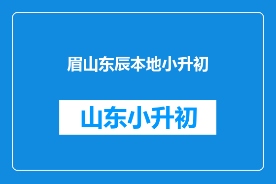 眉山东辰本地小升初