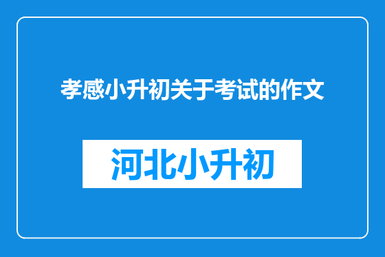 孝感小升初关于考试的作文