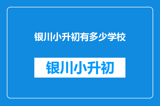 银川小升初有多少学校