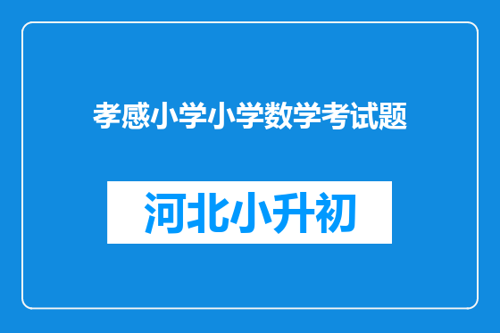 孝感小学小学数学考试题