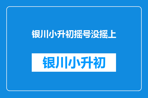 银川小升初摇号没摇上