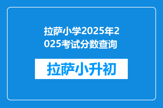 拉萨小学2025年2025考试分数查询