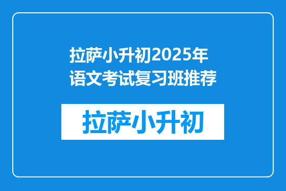 拉萨小升初2025年语文考试复习班推荐