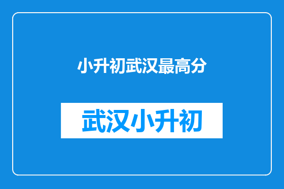 小升初武汉最高分