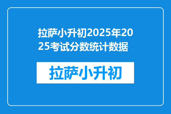 拉萨小升初2025年2025考试分数统计数据