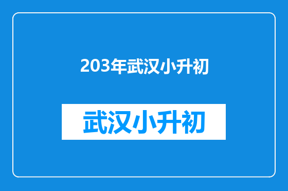 203年武汉小升初