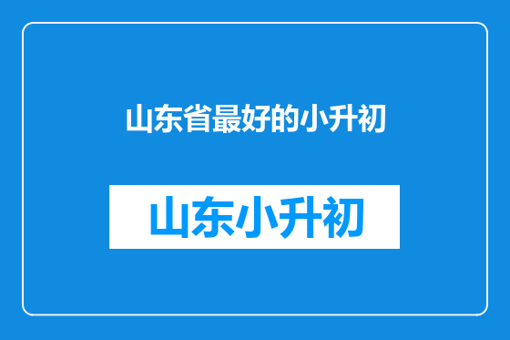 山东省最好的小升初