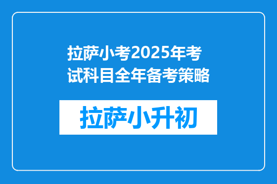 拉萨小考2025年考试科目全年备考策略