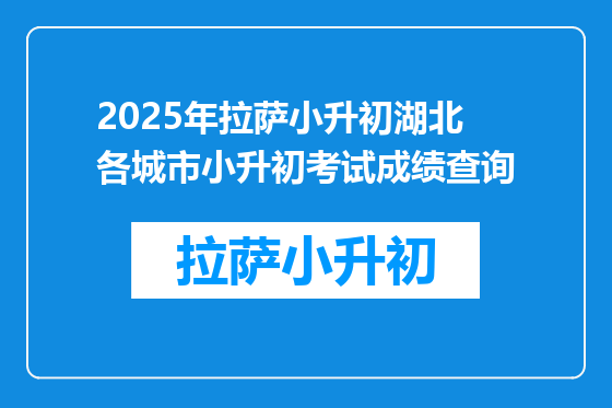 2025年拉萨小升初湖北各城市小升初考试成绩查询
