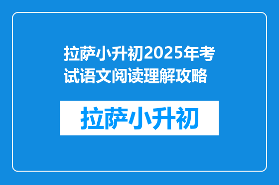 拉萨小升初2025年考试语文阅读理解攻略