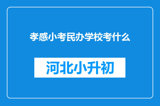 孝感小考民办学校考什么