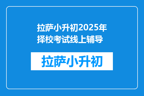 拉萨小升初2025年择校考试线上辅导
