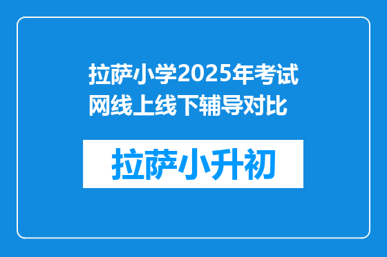 拉萨小学2025年考试网线上线下辅导对比
