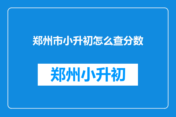 郑州市小升初怎么查分数