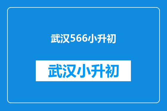 武汉566小升初
