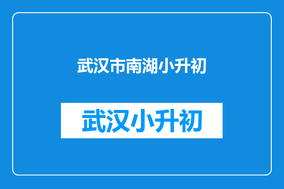 武汉市南湖小升初