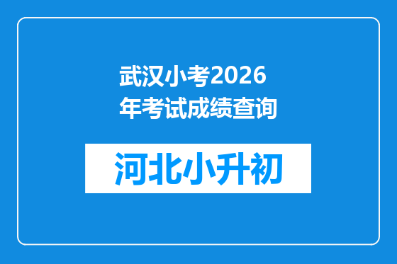 武汉小考2026年考试成绩查询