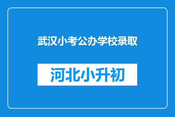 武汉小考公办学校录取