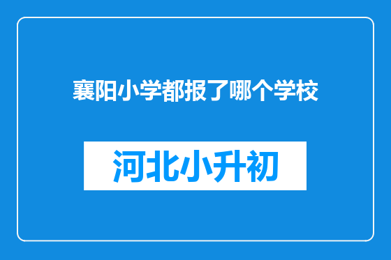 襄阳小学都报了哪个学校