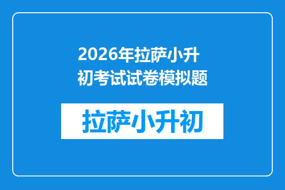 2026年拉萨小升初考试试卷模拟题