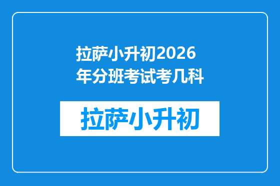 拉萨小升初2026年分班考试考几科