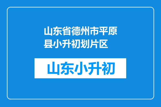 山东省德州市平原县小升初划片区