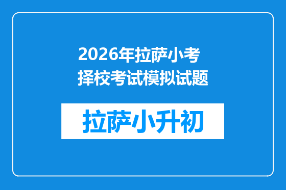 2026年拉萨小考择校考试模拟试题