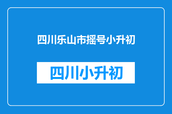 四川乐山市摇号小升初