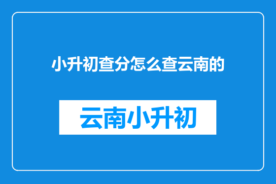 小升初查分怎么查云南的