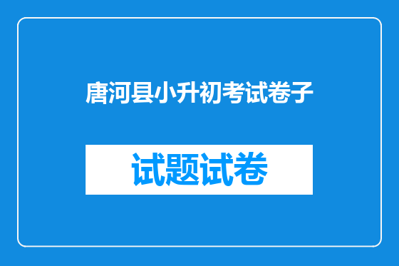 唐河县小升初考试卷子