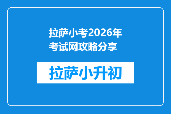 拉萨小考2026年考试网攻略分享