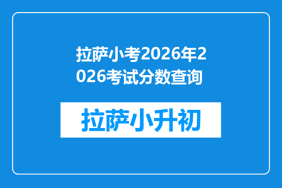拉萨小考2026年2026考试分数查询