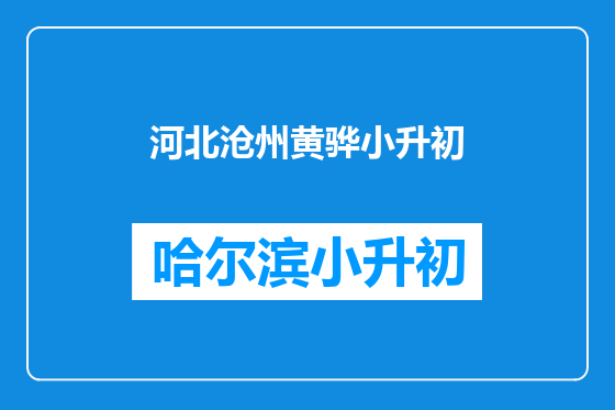 河北沧州黄骅小升初