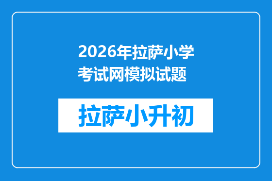 2026年拉萨小学考试网模拟试题