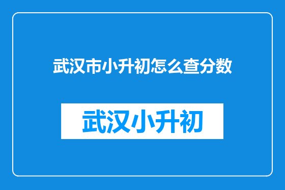 武汉市小升初怎么查分数