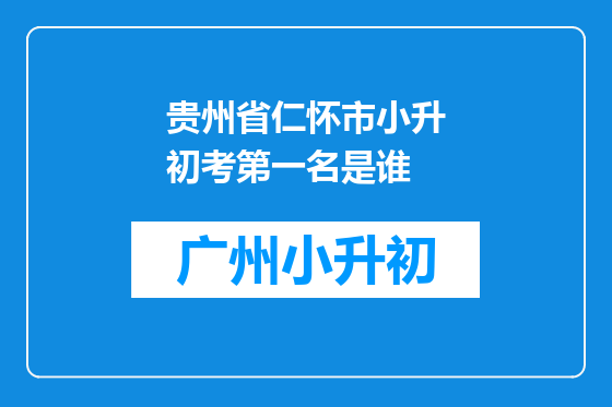 贵州省仁怀市小升初考第一名是谁