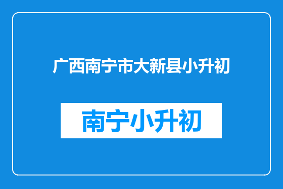 广西南宁市大新县小升初