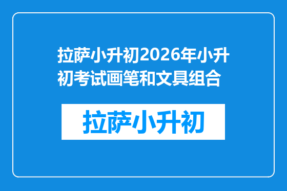 拉萨小升初2026年小升初考试画笔和文具组合