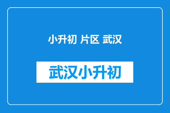 小升初 片区 武汉