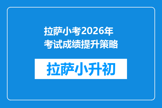 拉萨小考2026年考试成绩提升策略