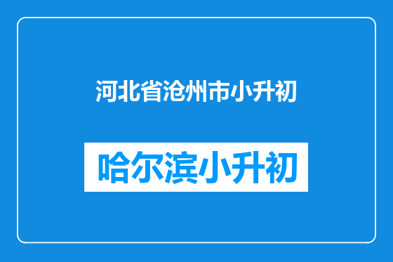 河北省沧州市小升初