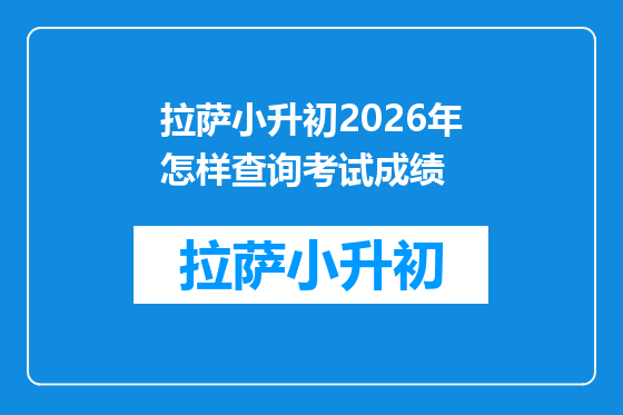 拉萨小升初2026年怎样查询考试成绩