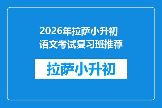 2026年拉萨小升初语文考试复习班推荐