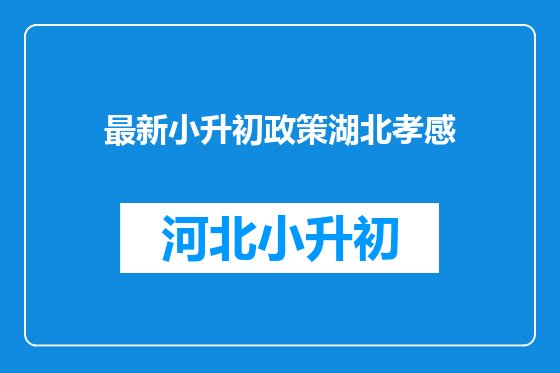 最新小升初政策湖北孝感