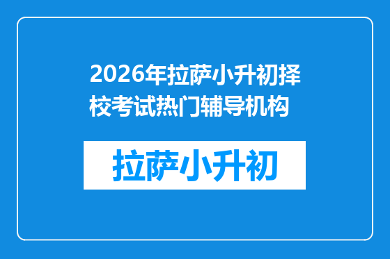 2026年拉萨小升初择校考试热门辅导机构
