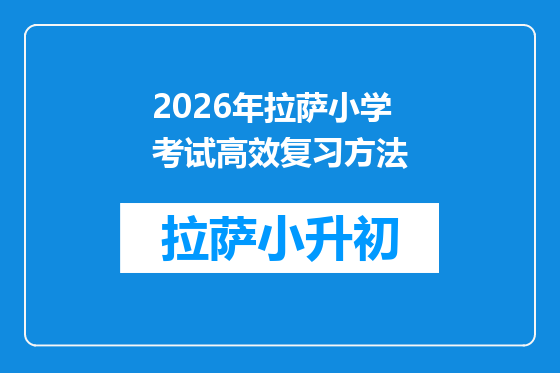 2026年拉萨小学考试高效复习方法