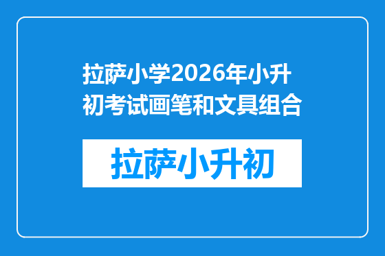 拉萨小学2026年小升初考试画笔和文具组合
